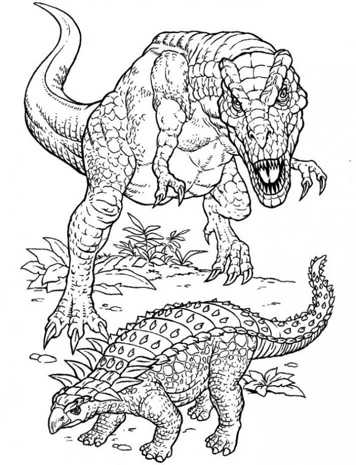 Динозавр раскраска распечатать а4. Тарбозавр раскраска динозавра. Раскраски для детей Тарбозавр. Раскраска динозавр Тирекс. Раскраска Тарбозавр Тираннозавр.