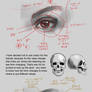 How to draw eyes (realistic)