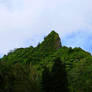 Nuuanu Pali face mountain jungle