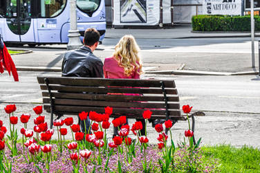 Zagreb Lovers and Flowers - revisited by Rikitza