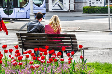 Zagreb Lovers and Flowers - revisited