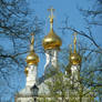 church behind trees