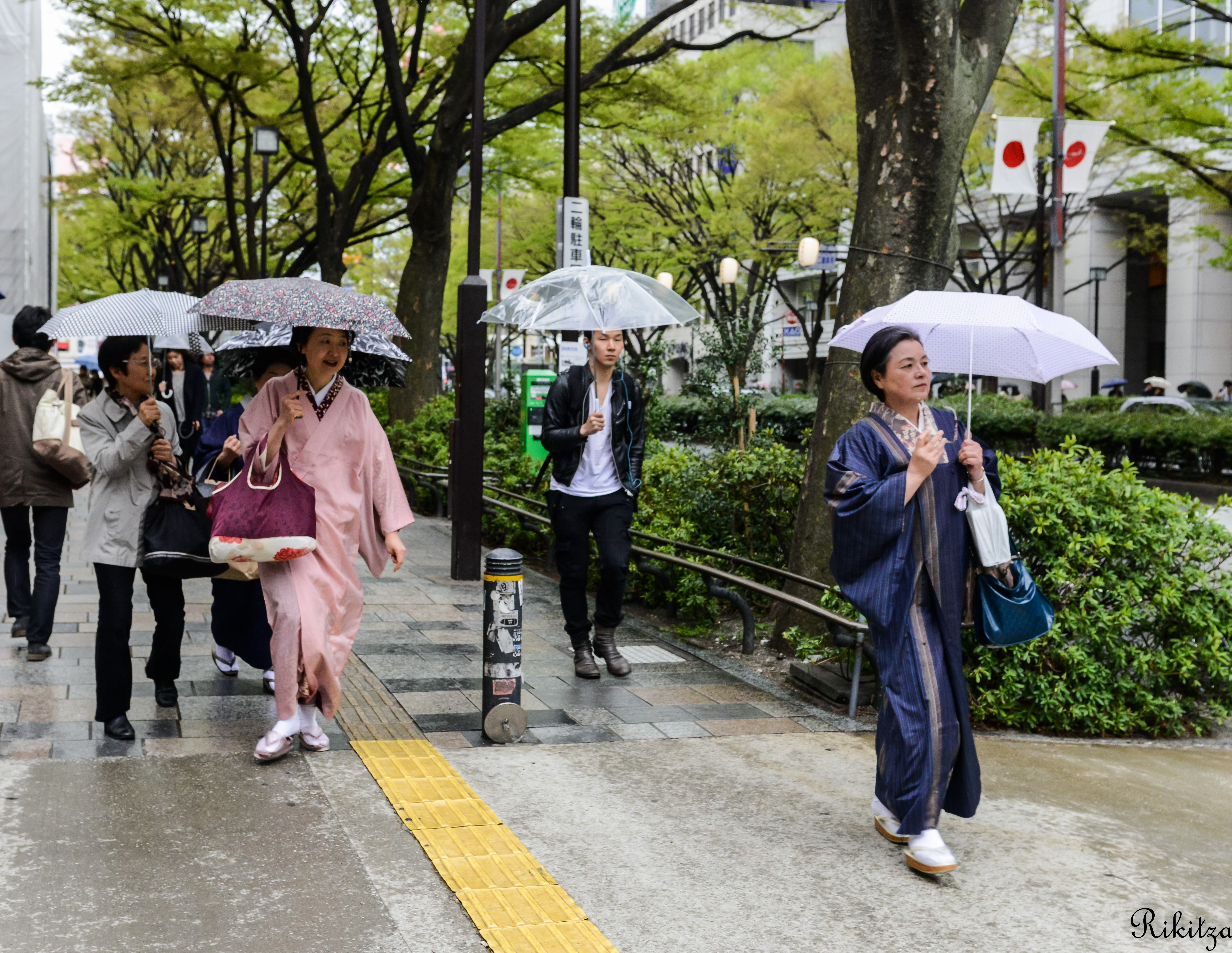 Tradition under rain in Tokyo