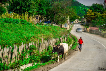 rural Georgia