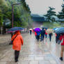 Umbrellas procession at Nara