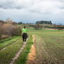 Morning On The Fields