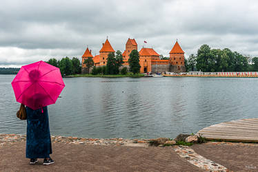 Castle contemplation