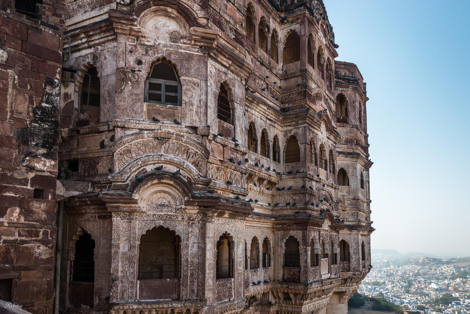 Incredible India - birds at the fort in Jodhpur