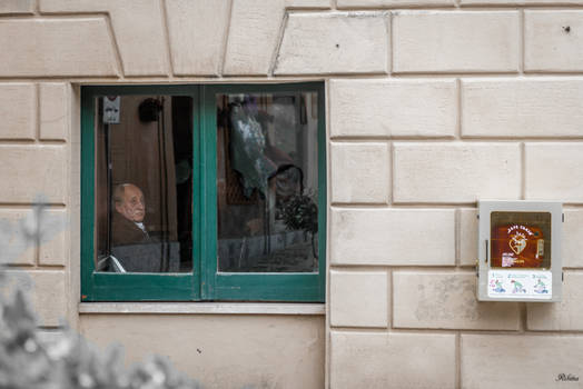 Man Looking Thru The Window