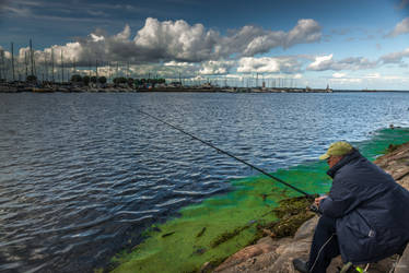 Tallinn gulf - fishing