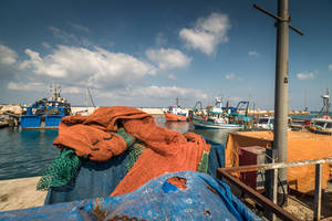 the old port in Jaffa