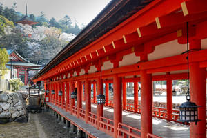 Lampions - Japan
