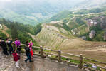 surprising China - Rice fields for ever