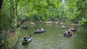 surprising China - Saturday afternoon in Chengdu