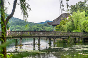 surprising China - at the West Lake in Hangzhou