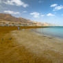 Dead Sea mood