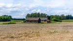 Golden Ground Under Blue Sky -  by Rikitza