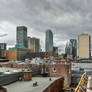 view from the Museum in Montreal