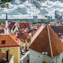 roofs of Tallinn