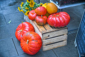 in forecasting Halloween