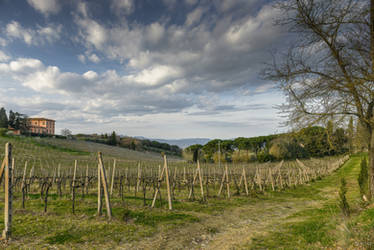 Toscana view