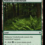 Makoria Underbrush