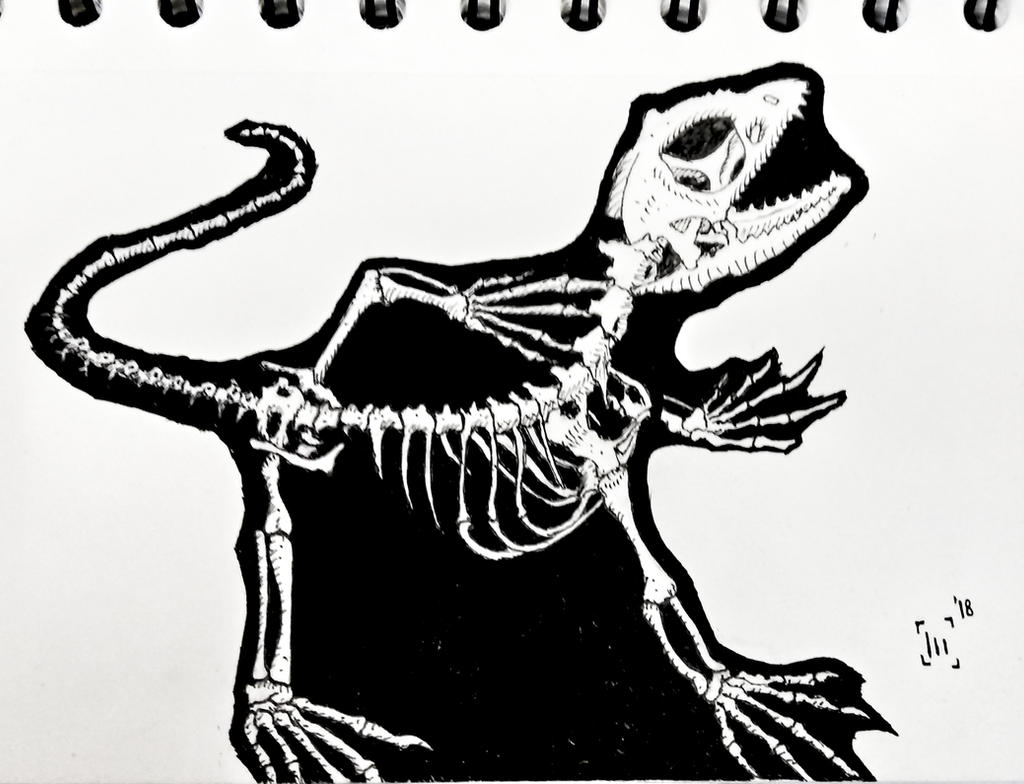 Lizard Hand X Rays lizard x Ray by Mexariis on DeviantArt