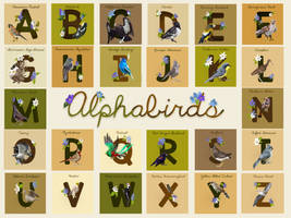 Alphabirds