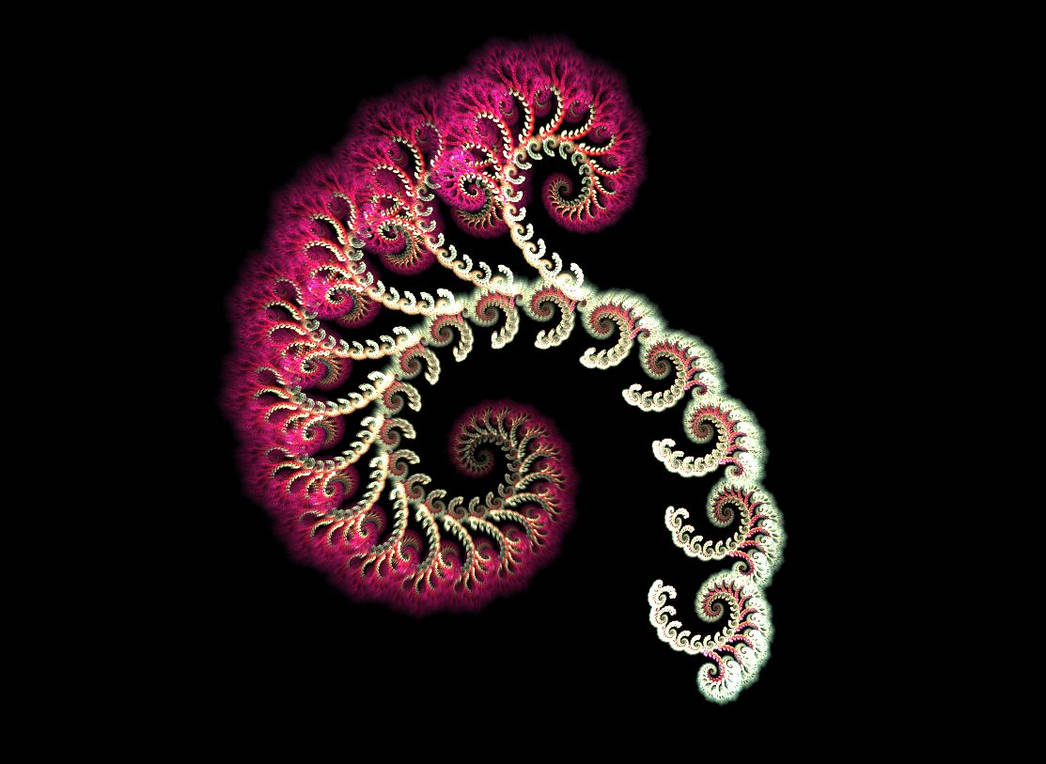 Polychaete Pattern Polychaeta by tugaknight on DeviantArt