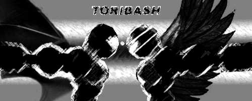 Sig for Toribash Forum