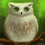 Green Eyed Owl