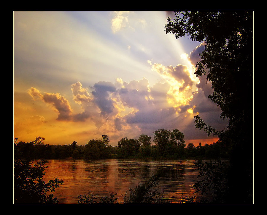 Rays of Light