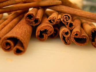 Cinnamon by VoiceOfDisaster67