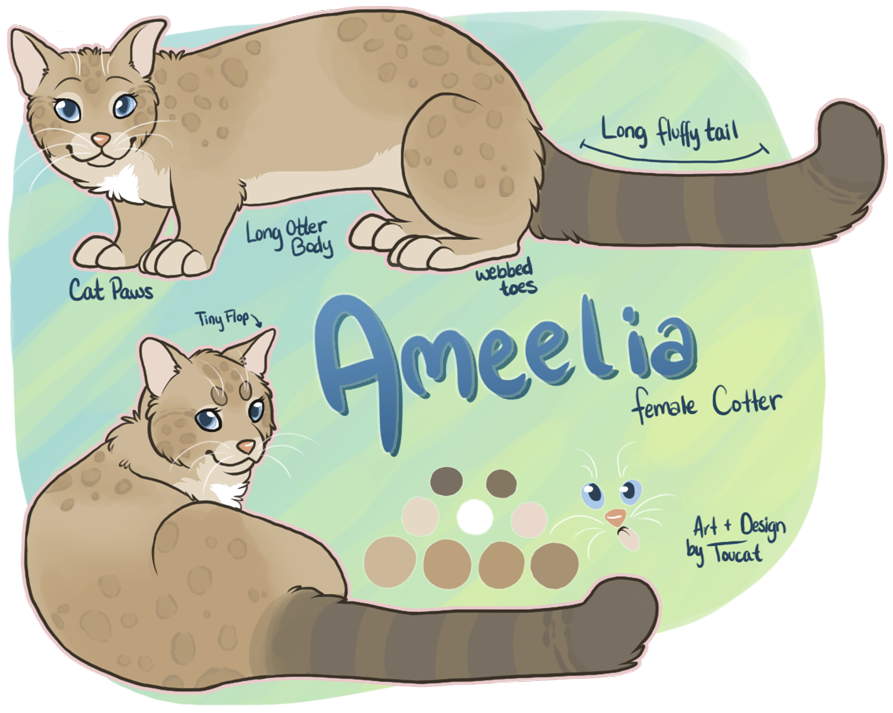 Ameelia the Cotter