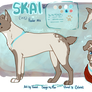 Skai Ref