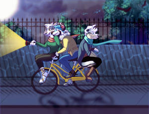 Nighttime Bike Ride