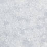 Winter Texture