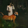 Dreams of Tigers and Bubbles