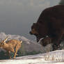 Grizzly Bear Chasing Rabbit