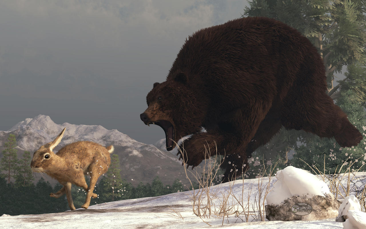 Grizzly Bear Chasing Rabbit by deskridge on DeviantArt