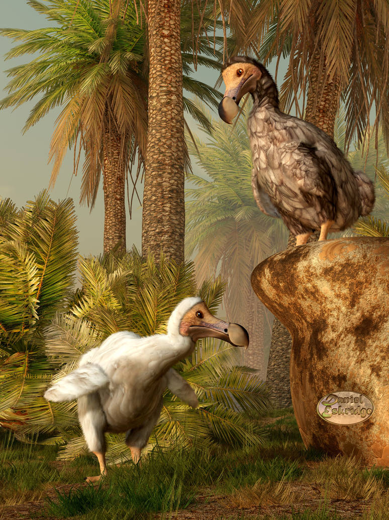 Dodo Hide N Seek by deskridge