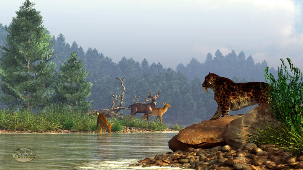 Sabertooth Dear A Saber-Tooth Hunting Deer by deskridge on DeviantArt