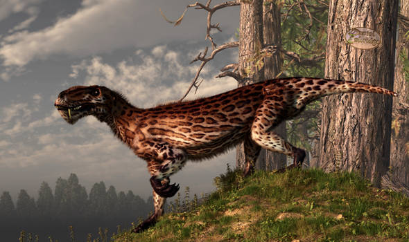 Lycaenops