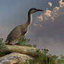 Hesperornis by the Sea