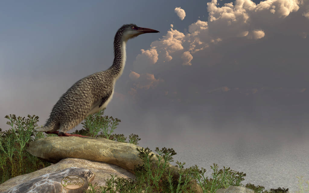 Hesperornis by the Sea by deskridge