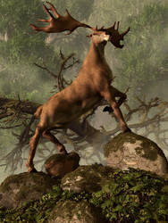 The Irish Elk