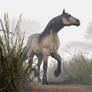 Pale Horse in the Mists