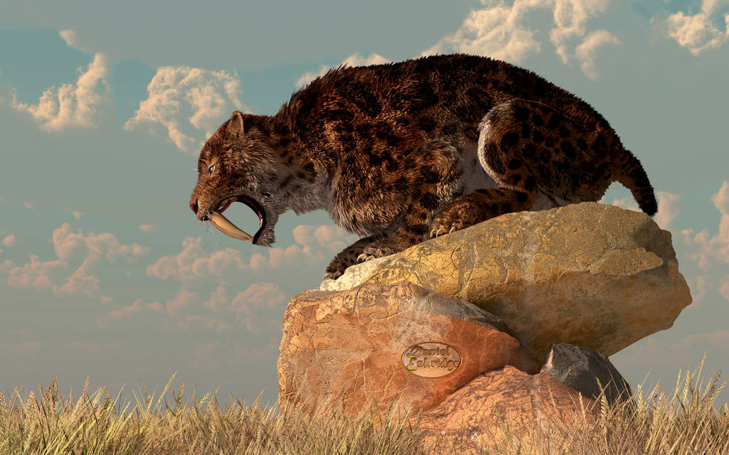 Saber-Tooth on a Rock by deskridge