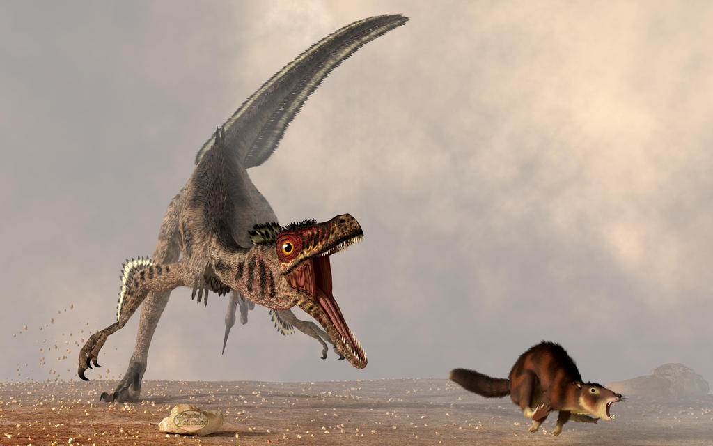 Velociraptor Chasing Small Mammal