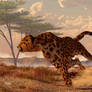 Speeding Cheetah